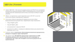 О правилах маркировки безалкогольного пива и новыми требованиями, вступающими в силу с 1 марта 2026 года